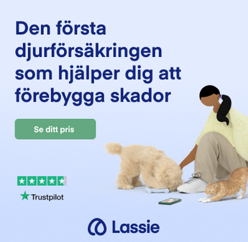 Har precis tecknat en Lassie försäkring till vår nya kattunge