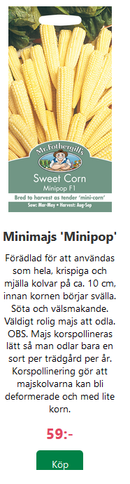 I år kommer jag att testa minimajs :)